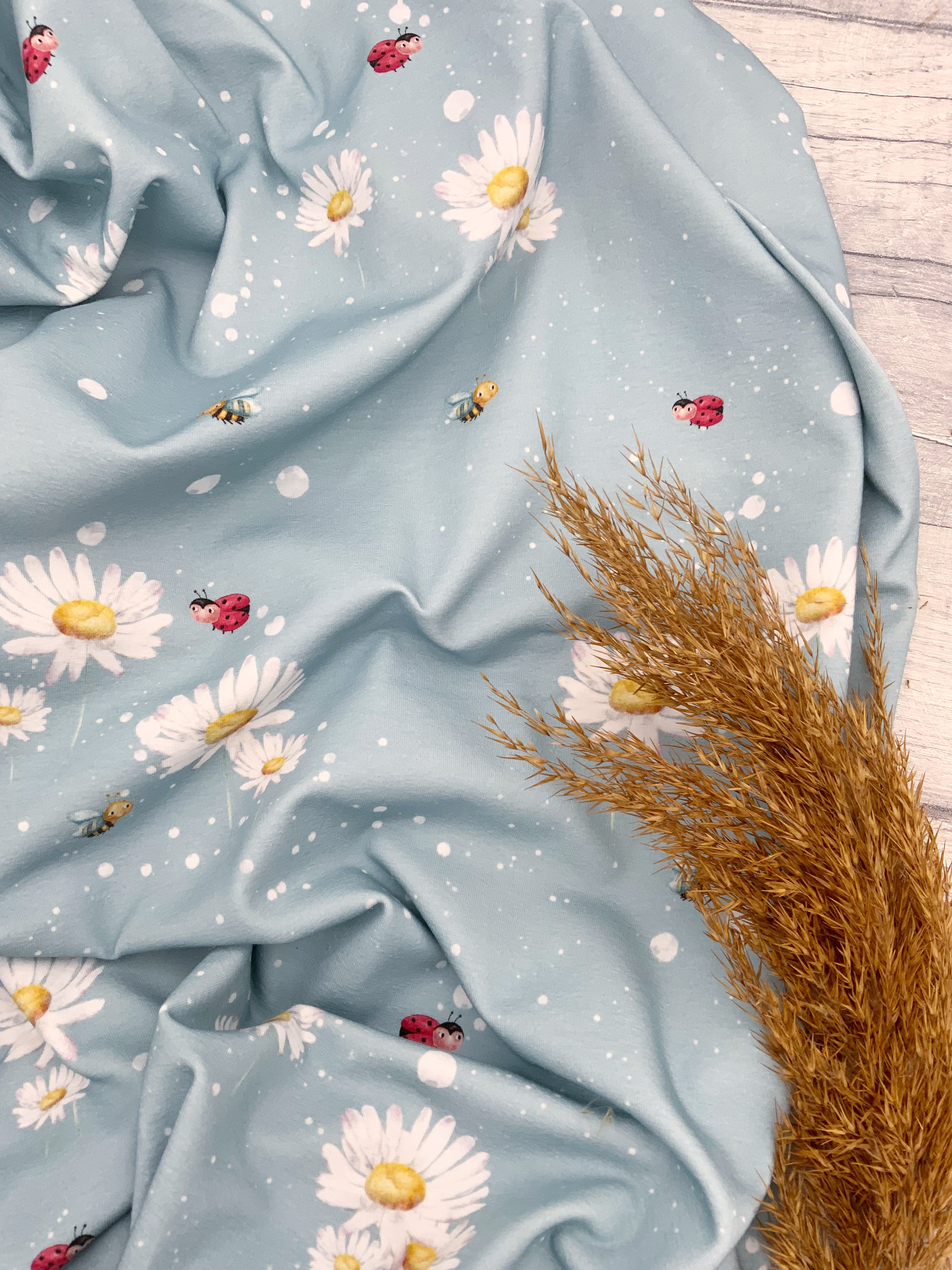 Kleiner Käfer Ostervorbestellung